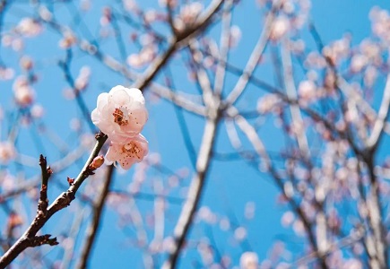 ylg060net永利娱高(中国)股份有限公司官网