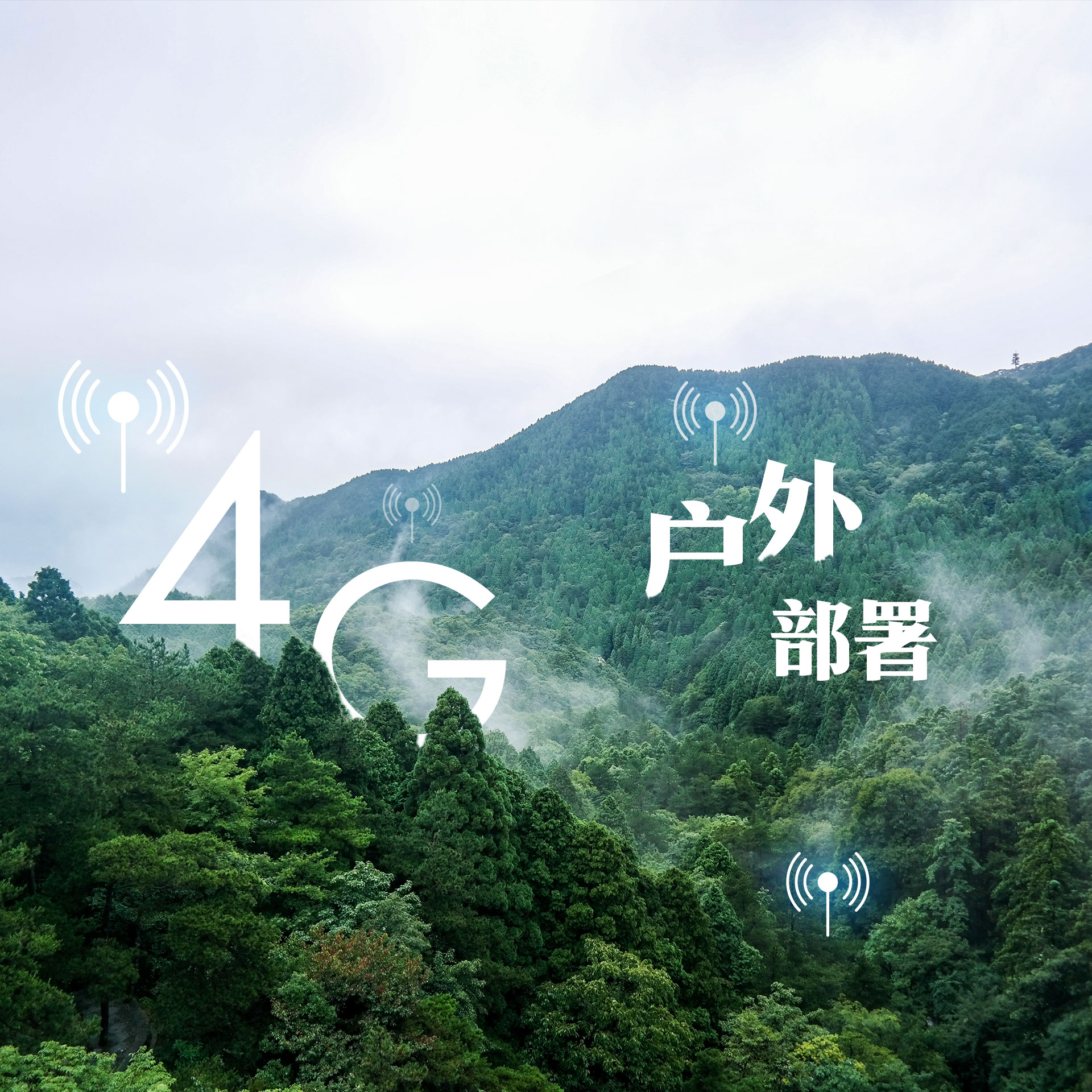 ylg060net永利娱高(中国)股份有限公司官网